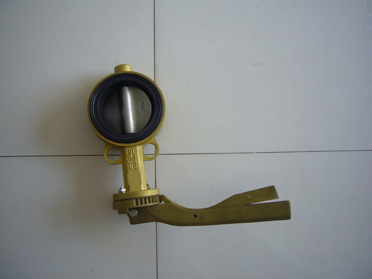 2 Inch Pneumatic Butterfly Valve , Lug Type Electric Actuated Butterfly Valve